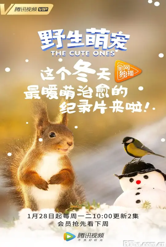 野生萌宠/The Cute Ones