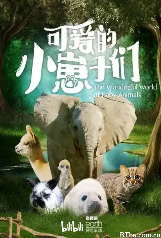 可爱的小崽子们 The Wonderful World of Baby Animals (2019) 1080P/4K BT磁力 迅雷网盘下载