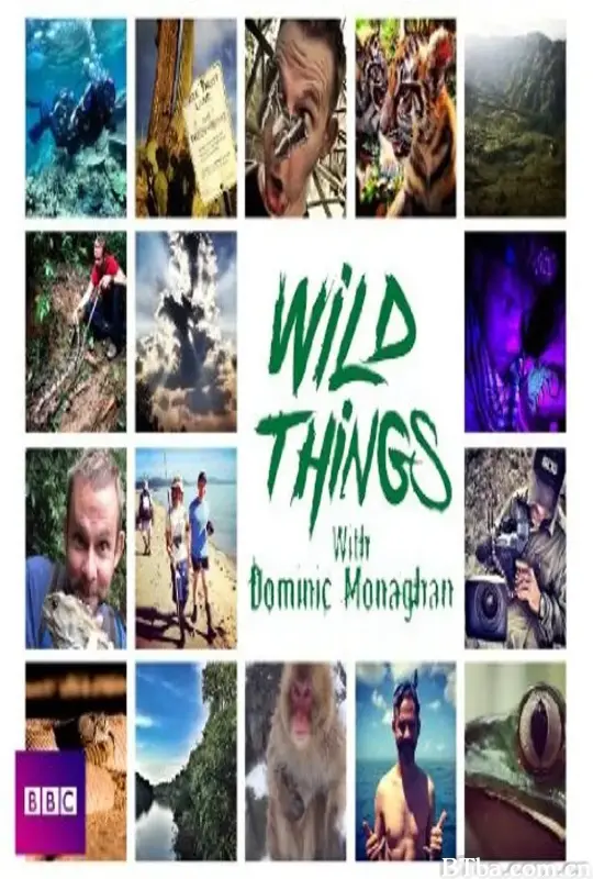 玩命全接触 第二季 Wild Things with Dominic Monaghan Season 2 (2015) 1080P/WEB-DL BT磁力 迅雷网盘下载