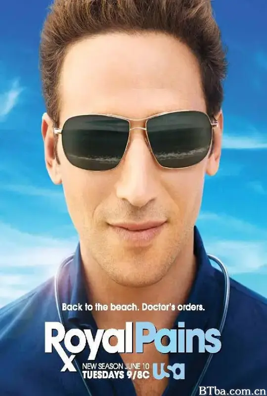 欲海医心 第六季/Royal Pains Season 6