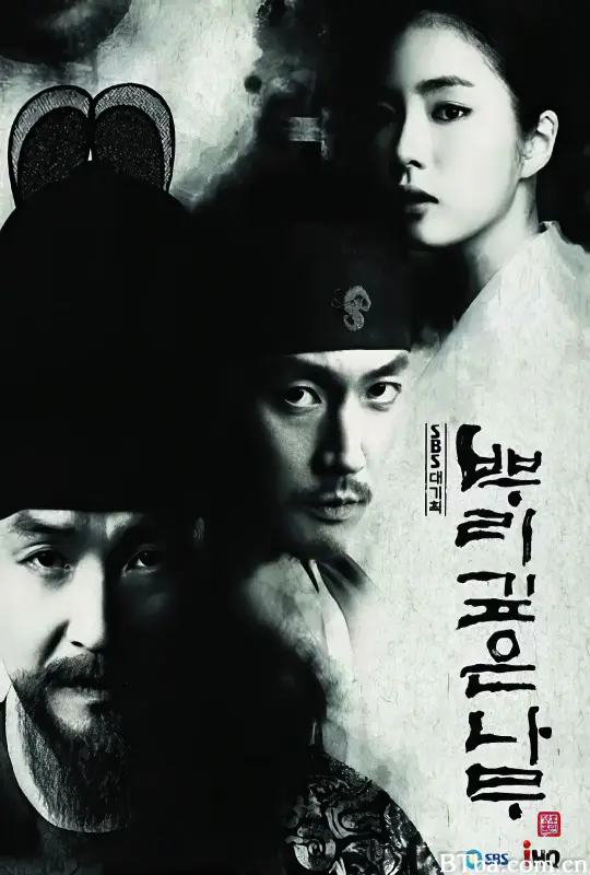树大根深/뿌리깊은 나무