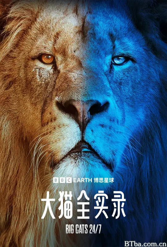 大猫全实录 第一季/Big Cats 24/7 Season 1