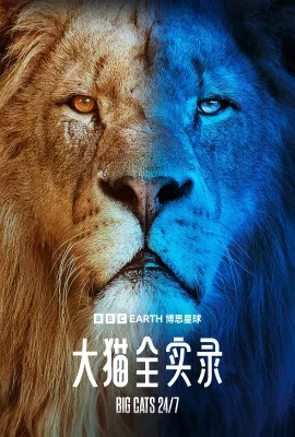 大猫全实录 第一季/Big Cats 24/7 Season 1