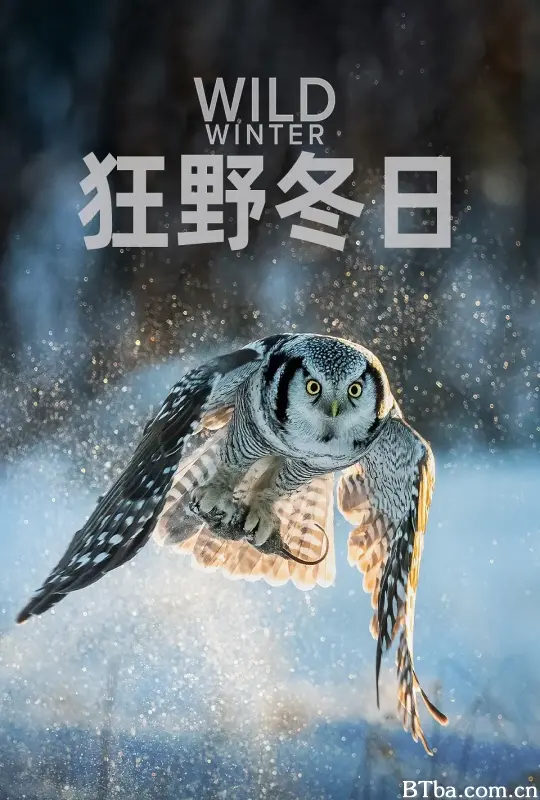狂野冬日 第一季/Wild Winter Season 1