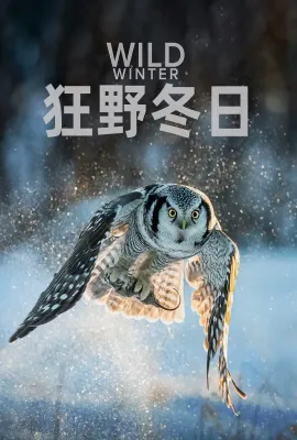 狂野冬日 第一季/Wild Winter Season 1