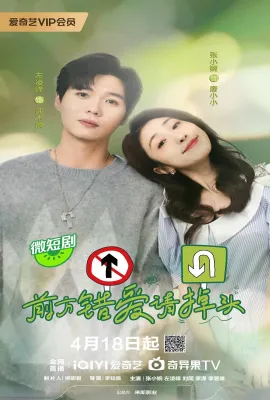 前方错爱请掉头