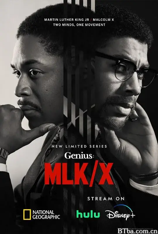 天才 第四季/Genius Season 4