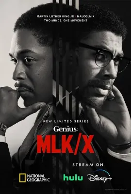 天才 第四季/Genius Season 4