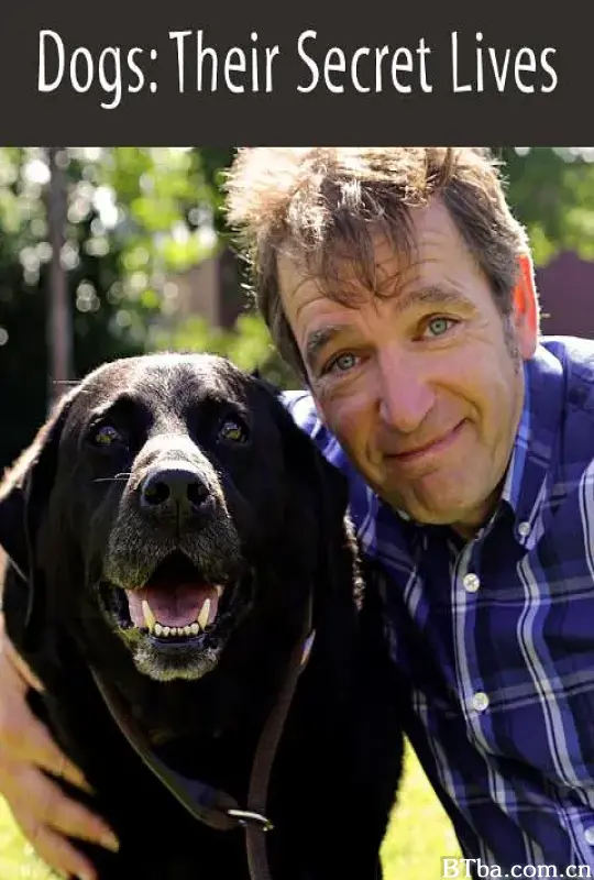 狗狗的秘密生活 第一季 Dogs: Their Secret Lives Season 1 (2014) 1080P/WEB-DL BT磁力 迅雷网盘下载