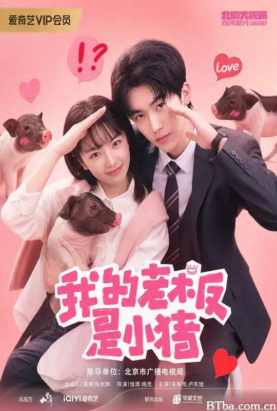 我的老板是小猪