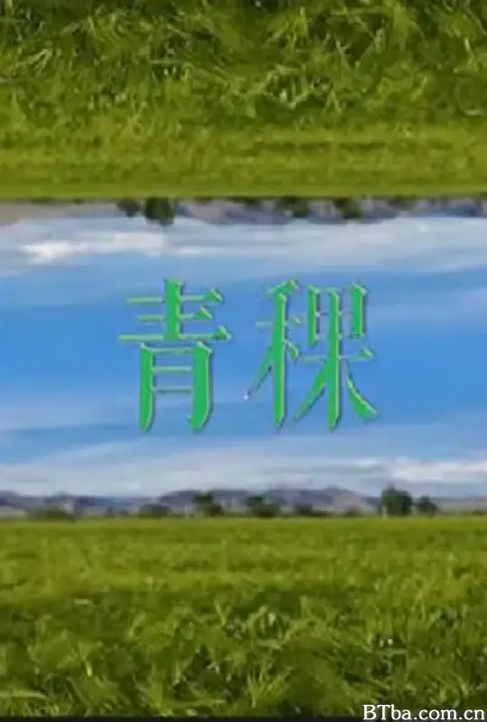 青稞 (2021) 1080P/4K BT磁力 迅雷网盘下载