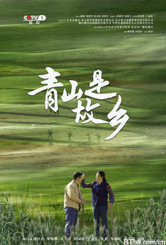 青山是故乡