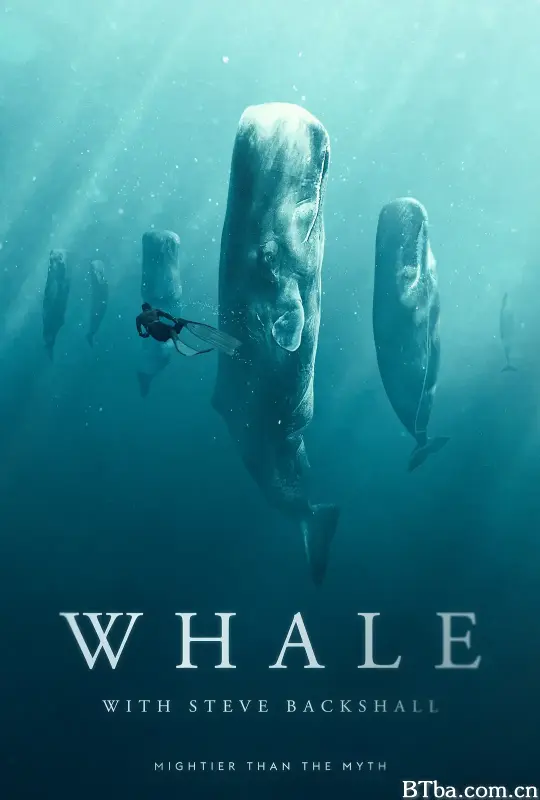 与鲸共舞 第一季 Whale with Steve Backshall Season 1 (2024) 1080P/WEB-DL BT磁力 迅雷网盘下载