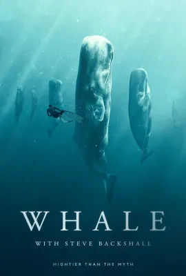 与鲸共舞 第一季/Whale with Steve Backshall Season 1
