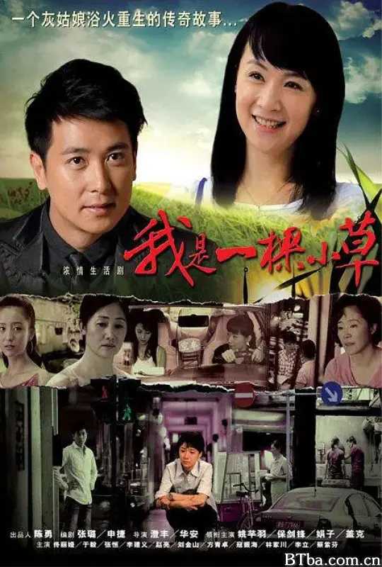 我是一棵小草 (2009) 1080P/4K BT磁力 迅雷网盘下载