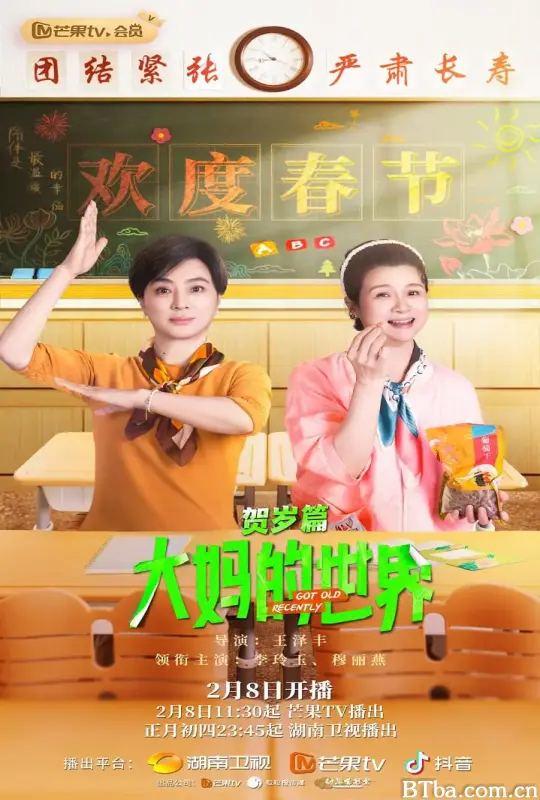 大妈的世界 贺岁篇
