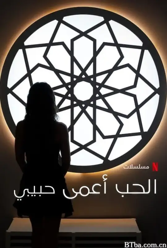 爱情盲选：我的爱/Love Is Blind: Habibi