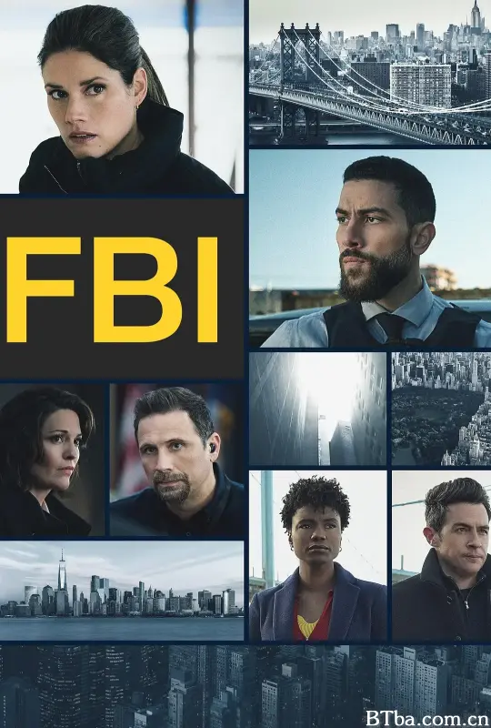 联邦调查局 第六季/FBI Season 6