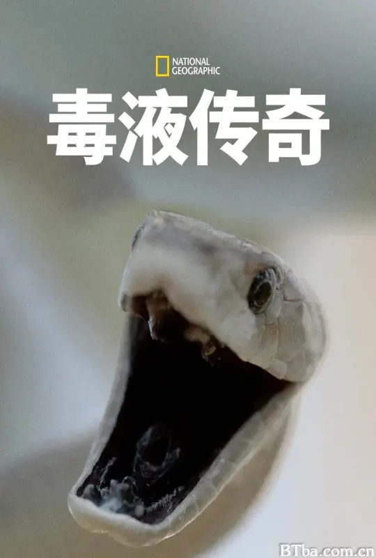 毒液传奇 第一季 Legends of Venom Season 1 (2024) 4K/WEB-DL BT磁力 迅雷网盘下载