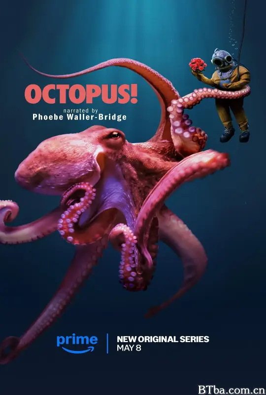章鱼！/Octopus!