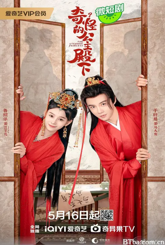 奇怪的公主殿下