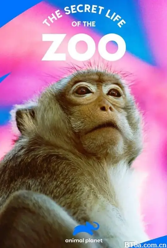 动物园的秘密生活 第三季/The Secret Life of the Zoo Season 3
