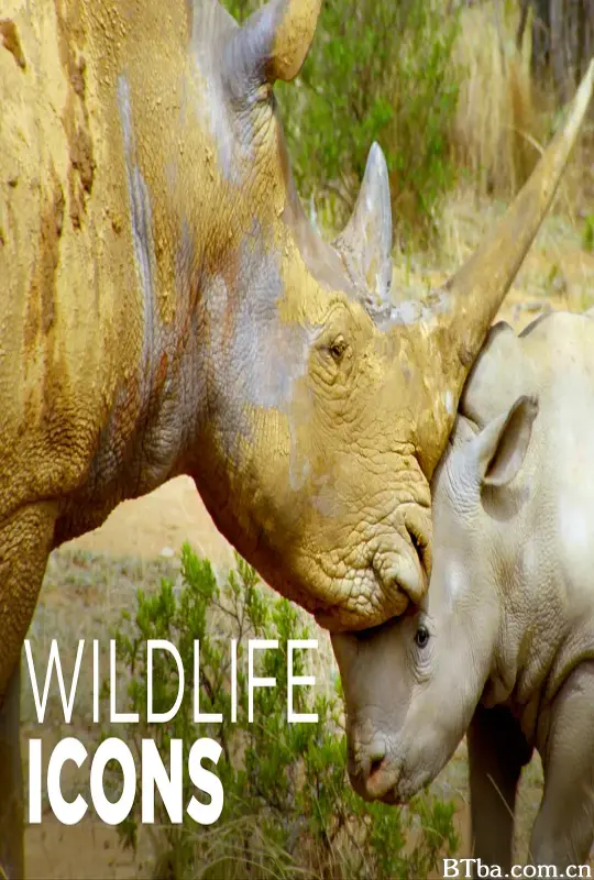 野性标志 Wildlife Icons (2015) 1080P/WEB-DL BT磁力 迅雷网盘下载