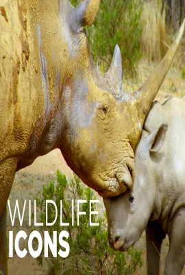 野性标志/Wildlife Icons