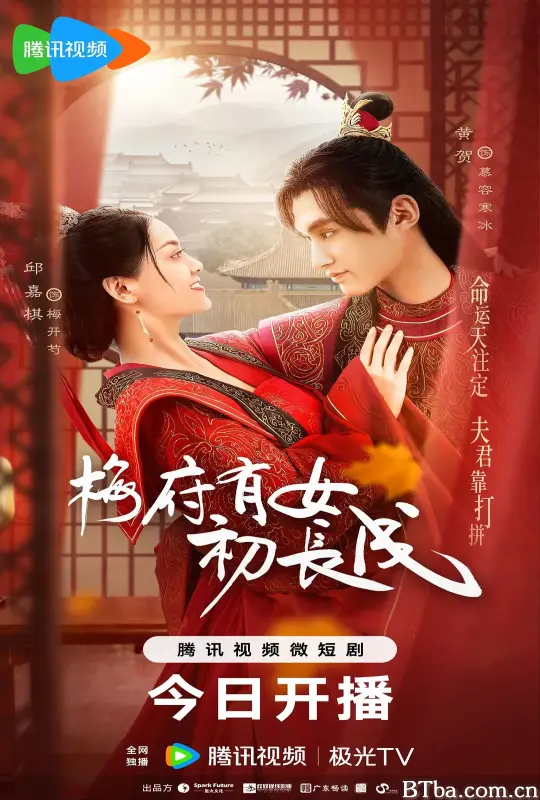 梅府有女初长成