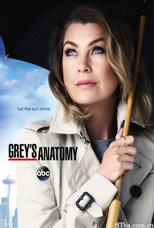 实习医生格蕾 第十二季/Grey's Anatomy Season 12