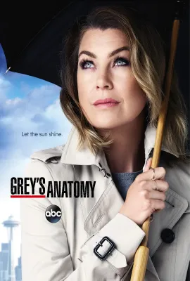 实习医生格蕾 第十二季/Grey's Anatomy Season 12