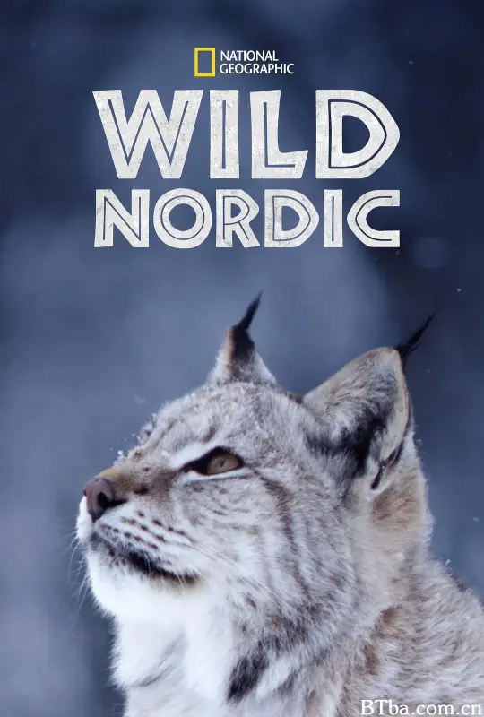 野性北欧 第一季 Wild Nordic Season 1 (2019) 1080P/WEB-DL BT磁力 迅雷网盘下载