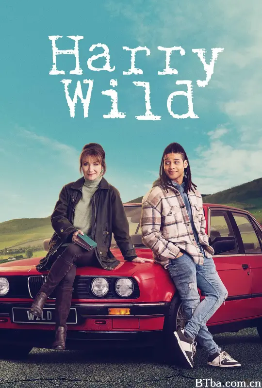 野探哈莉 第三季/Harry Wild Season 3