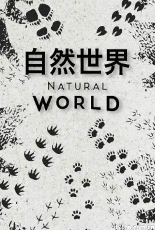 自然世界 第一季 Natural World Season 1 (2020) 1080P/WEB-DL BT磁力 迅雷网盘下载