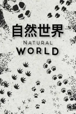 自然世界 第一季/Natural World Season 1