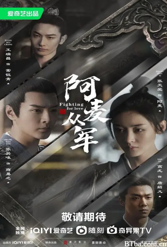 阿麦从军 (2024) 1080P/4K BT磁力 迅雷网盘下载