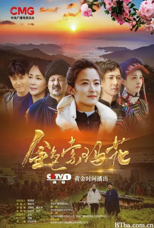 金色索玛花 (2020) 1080P/WEB-DL BT磁力 迅雷网盘下载