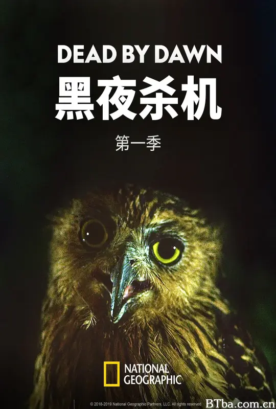 黑夜杀机 第一季 Dead by Dawn Season 1 (2019) 1080P/4K BT磁力 迅雷网盘下载-影音屋
