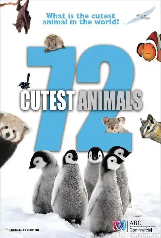 72大可爱动物 72 Cutest Animals (2016) 1080P/WEB-DL BT磁力 迅雷网盘下载-影音屋