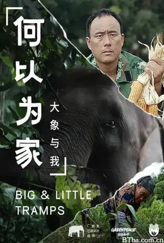 何以为家：大象与我 (2020) 1080P/WEB-DL BT磁力 迅雷网盘下载