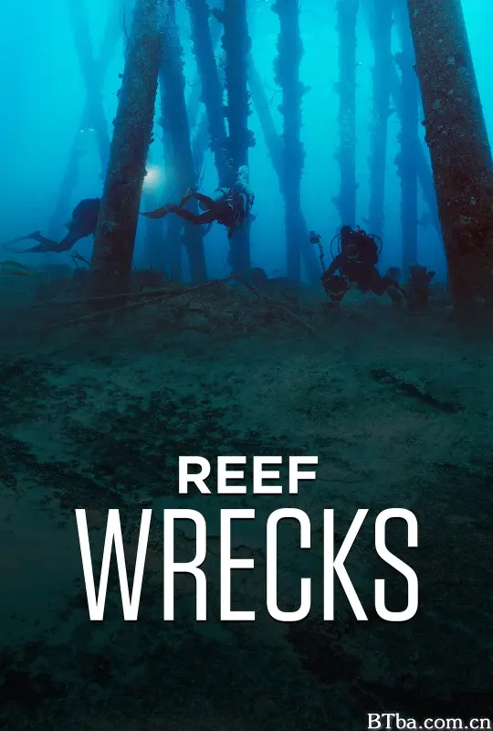 鱼礁沉船 Reef Wrecks (2016) 1080P/WEB-DL BT磁力 迅雷网盘下载