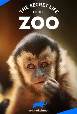 动物园的秘密生活 第一季/The Secret Life of the Zoo Season 1