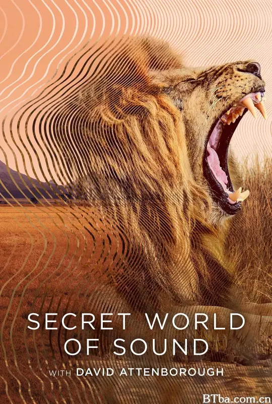 大卫·艾登堡：大自然的声音/Secret World of Sound with David Attenborough