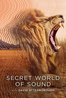 大卫·艾登堡：大自然的声音/Secret World of Sound with David Attenborough