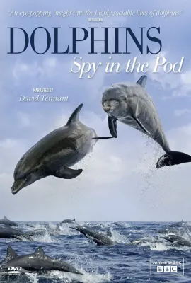 卧底海豚帮/Dolphins - Spy in the Pod
