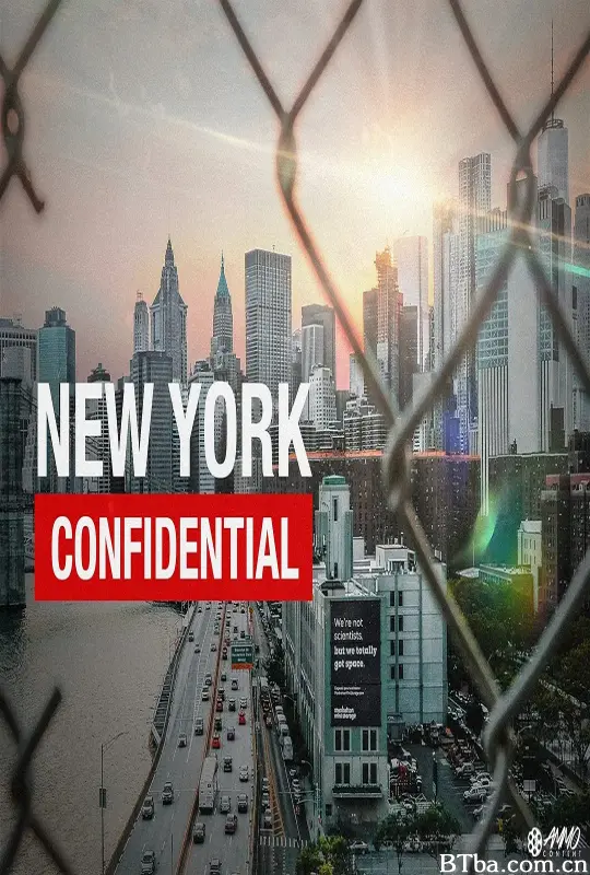 纽约的秘密/NY Confidential