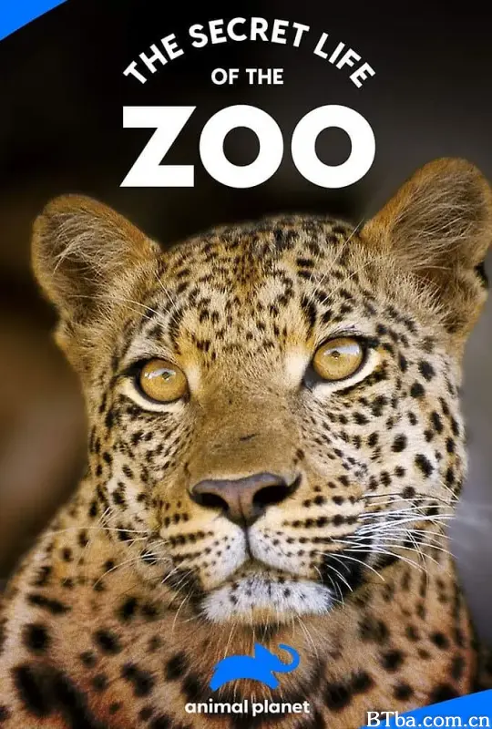 动物园的秘密生活 第二季 The Secret Life of the Zoo Season 2 (2016) 1080P/WEB-DL BT磁力 迅雷网盘下载