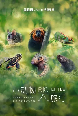 小动物 大旅行 第一季/Big Little Journeys Season 1
