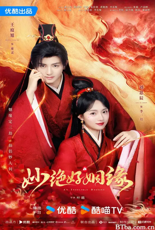 妙绝好姻缘 (2024) 1080P/4K BT磁力 迅雷网盘下载