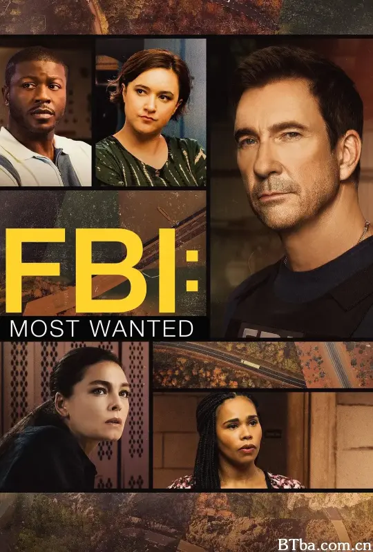 联邦调查局：通缉要犯 第五季/FBI: Most Wanted Season 5